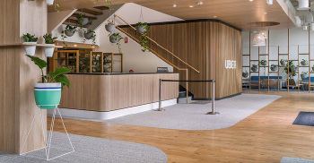 优步植物星球-大自然系的办公室装修设计