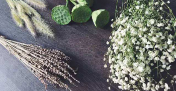 如果办公室装饰设计需要花朵-干花是个好选择