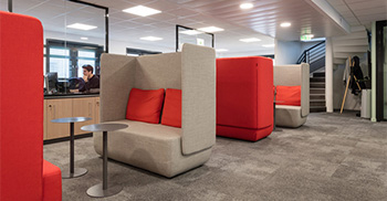 来自北美原野的郊狼-多元化的办公室装修