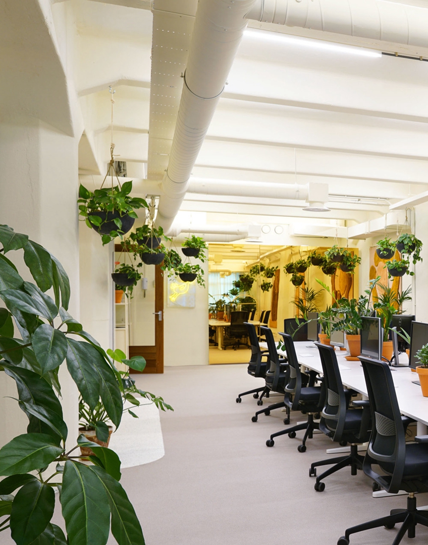 办公室装修 办公室装修