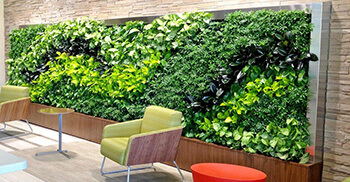 北京办公室设计植物墙有什么用？