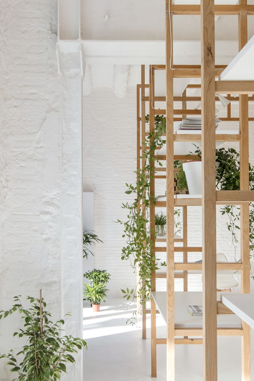 办公装修设计 植物 办公装修设计 植物