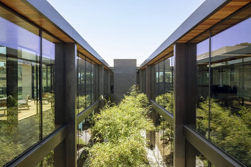 办公室装饰装修 中庭植物 办公室装饰装修 中庭植物