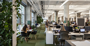 废弃仓库改造绿色办公室装饰装修-使空间焕然一新