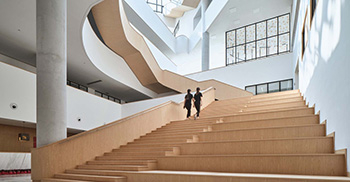 办公楼空间塑造多元绿植-办公楼装修公司