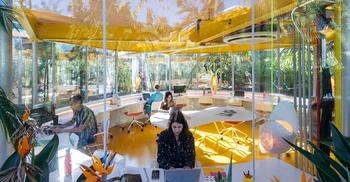 将办公室带入自然花坛中-办公室装饰装修