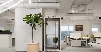 广州办公室装修公司以花卉打造办公环境主题