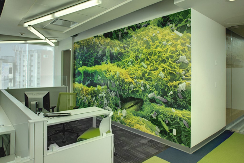 办公楼装修设计