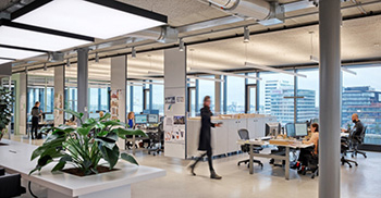 广东办公室装修中植物选择原则_你知道几点