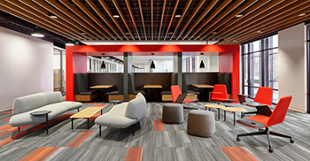 低碳概念为什么在办公室装修中越来越流行