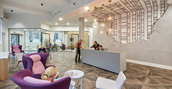 室内装修设计后_植物起到啥作用