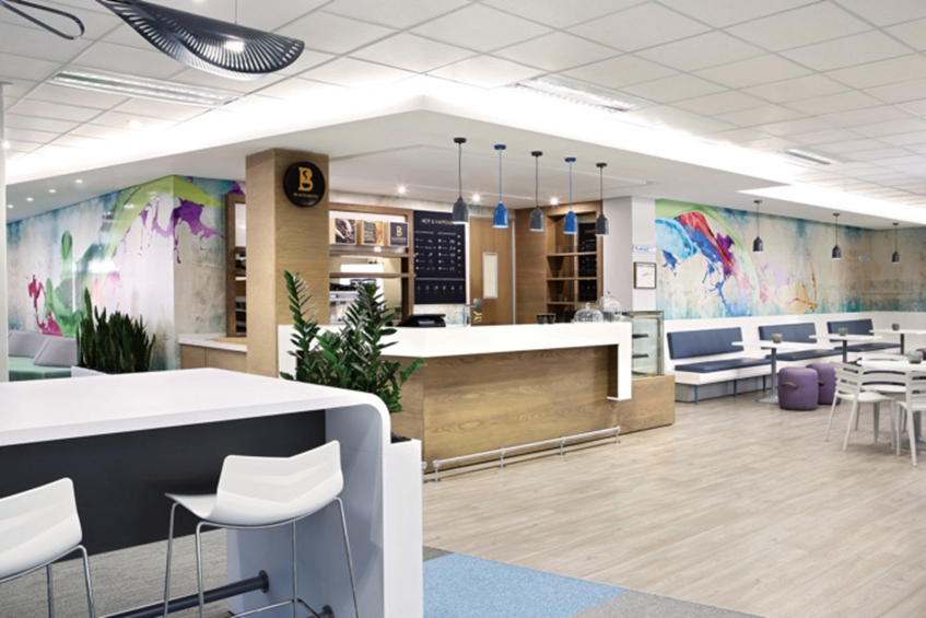 办公室植物设计