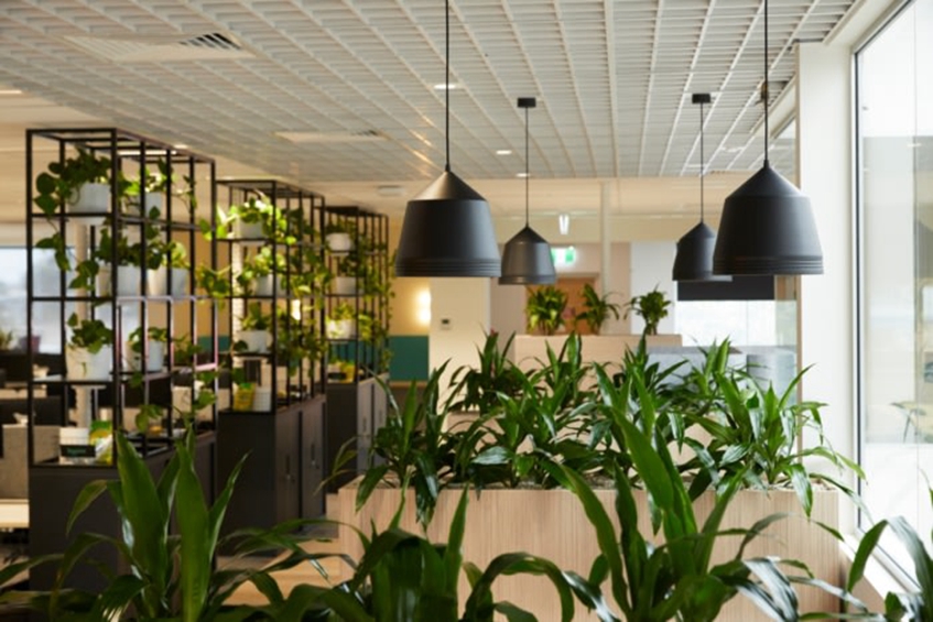 办公室设计装修