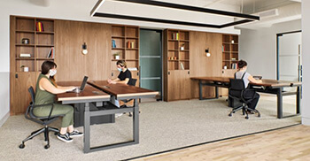 办公室装潢装饰如何把绿色植物景观带入空间