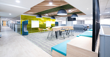 办公空间展示了亲生物性 设计解决方案采用中性色调