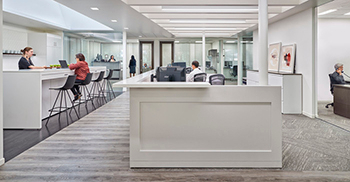 玻璃前的私人办公室与开放且日光充足的咖啡吧共享空间