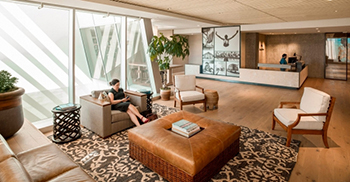 一条宏伟的“木板路”用于组织办公空间