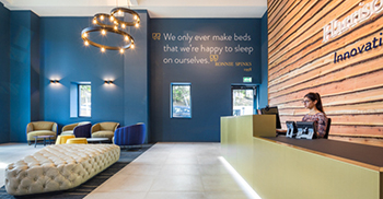 办公空间设计选择了微妙、精致的调色板 强调了自然纹理和饰面