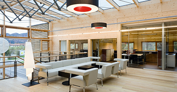 以木材为灵感的办公室 透明的玻璃立方体打破了坚固性