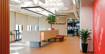 办公室装修设计：穿孔的天花板设计可以在普通人行道上产生斑驳的聚光灯效果