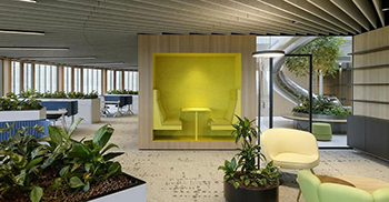 办公楼装修——运用多样化的生物元素有效促进健康和幸福感