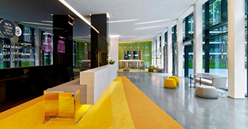 办公室装修——将绿色油漆与活的蕨类植物、苔藓和地衣相匹配