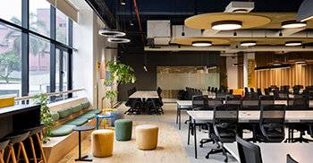 办公室设计：利用树木大小的室内植物模糊了空间之间的界限