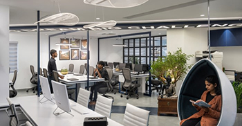 办公室装修公司：沿线密集的植物群切断了夕阳的倾斜光线