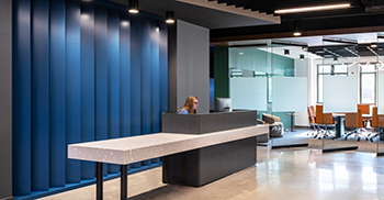 办公室设计装修：精心策划的艺术品和绿色植物增添了一丝灵感