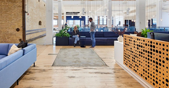 办公室设计装修：将自然、有机的纹理和色彩带到团队聚集和联系的地方