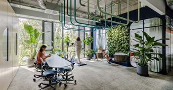 办公室装修设计：实用而且美观的空间 像是一个“丛林”