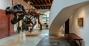 办公室装修案例：设计为狭缝峡谷的抽象 向空间之星的故乡致敬