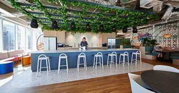 办公室装修设计：融合了古怪的元素 展现出不拘一格、温馨和都市的氛围