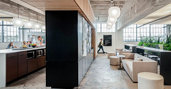 办公室设计装修：超大的定制钢制花盆墙增加了一个关键的亲生物锚