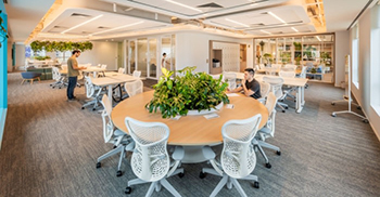 办公室空间设计：背景墙表面呈现出蜿蜒的形状 以白色和鲜艳的蓝色为亮点