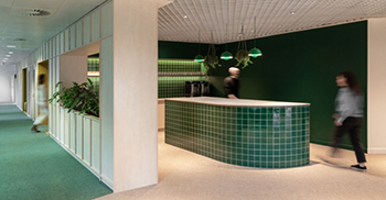 公司办公室设计装修：利用创新、经济高效和环保的材料营造出宁静的氛围